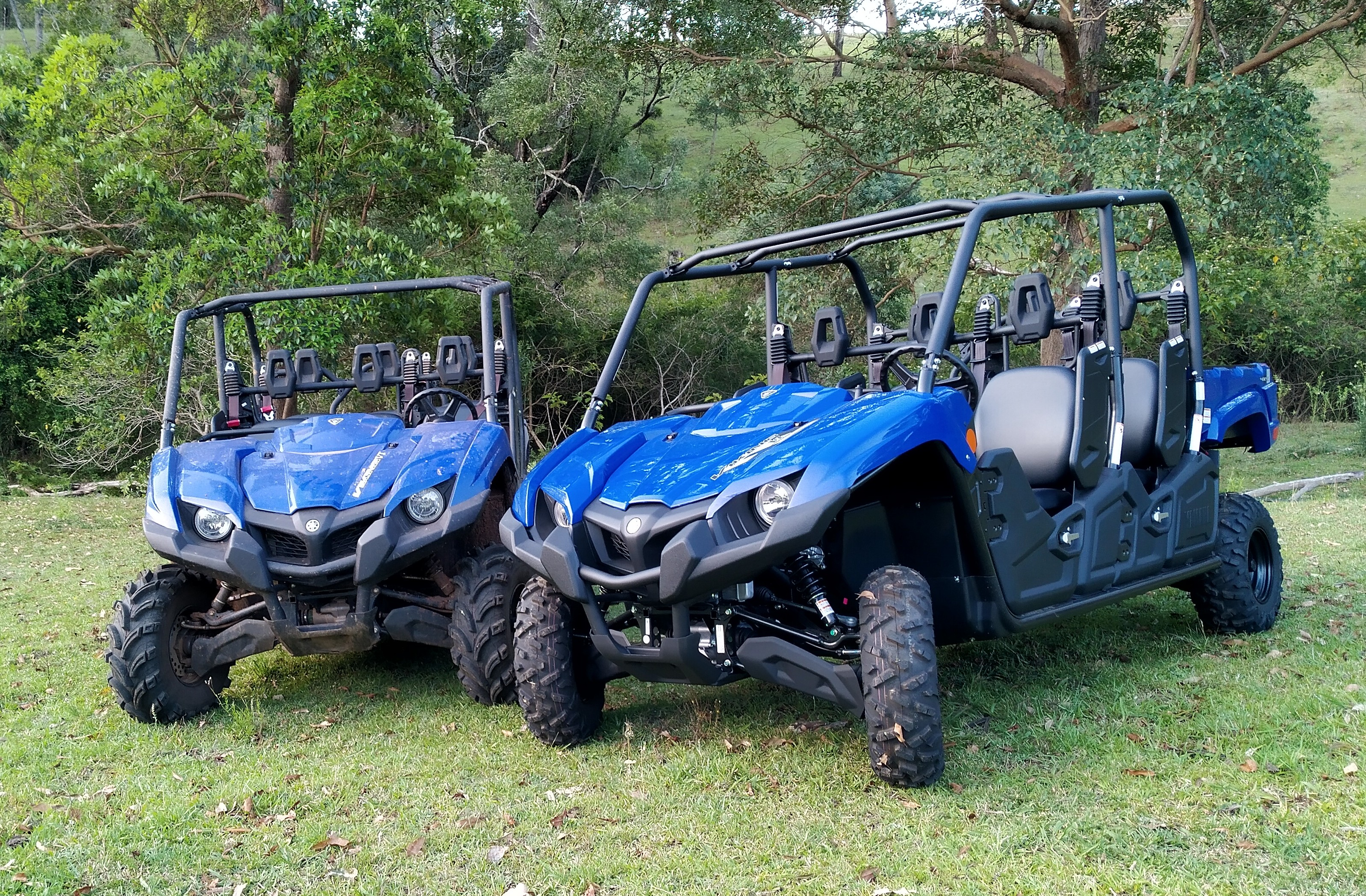 4WD Buggies - Offsite