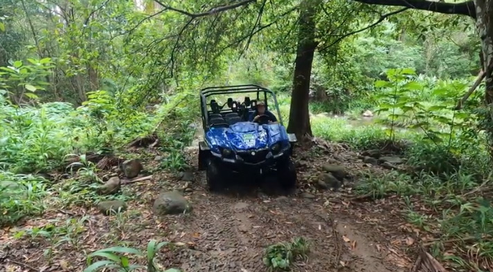 Book For Buggy Experience
