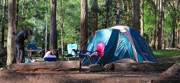 Camping, Glamping & Lodges