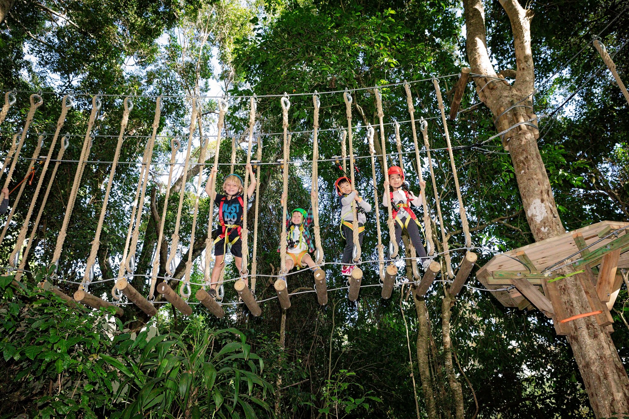 Young child exploring the TreeTop Juniors ropes course